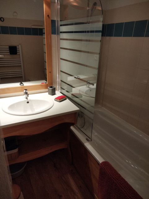 Intérieur salle de bain L'Aster A15 Chamrousse