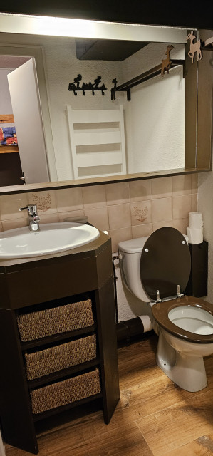 Intérieur salle de bain Le vernon 1019 Chamrousse