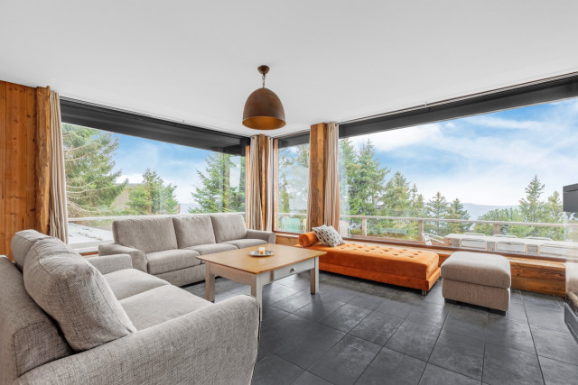 Intérieur salon séjour Le Chalet des Anges Chamrousse