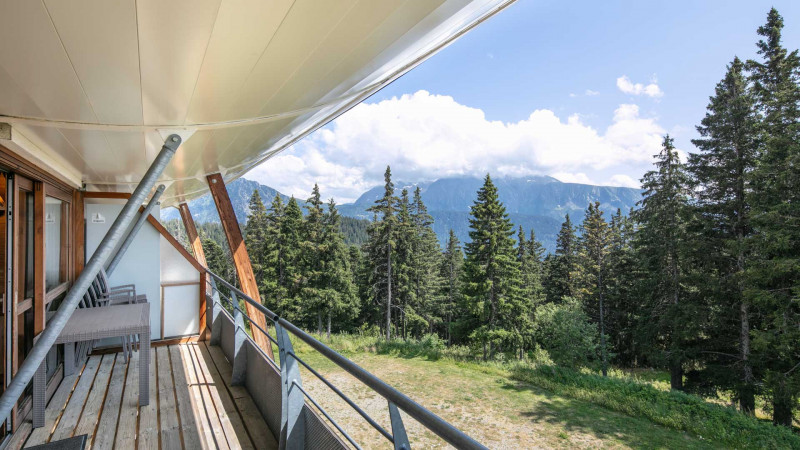 Lesvillagesdubachat-D31Silenes_10