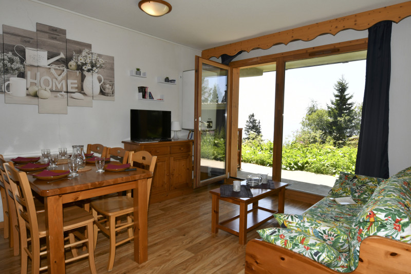 Salon Appartement Vercors 1 035