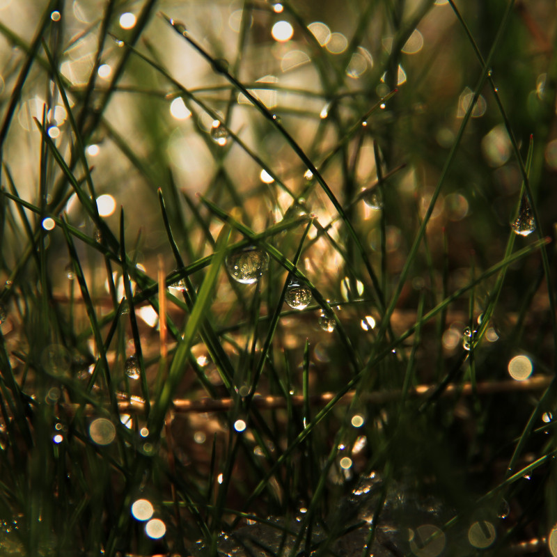 Réveil matinal Chamrousse