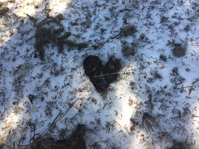 Environmental animation 