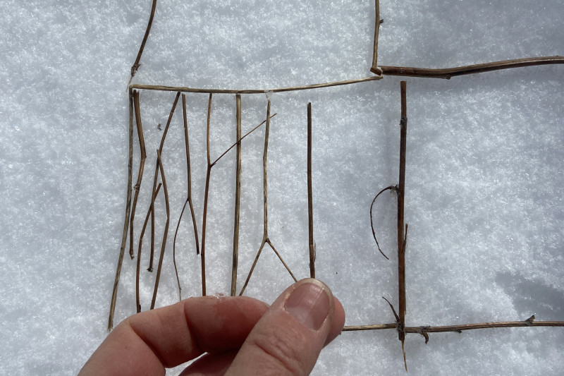 Balade hiver land art en famille Chamrousse