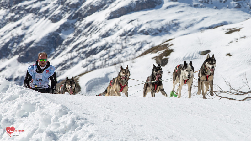 Lekkarod course chiens de traîneau Chamrousse