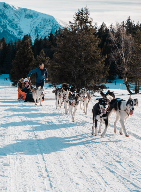 Baptême en chiens de traîneau Chamrousse