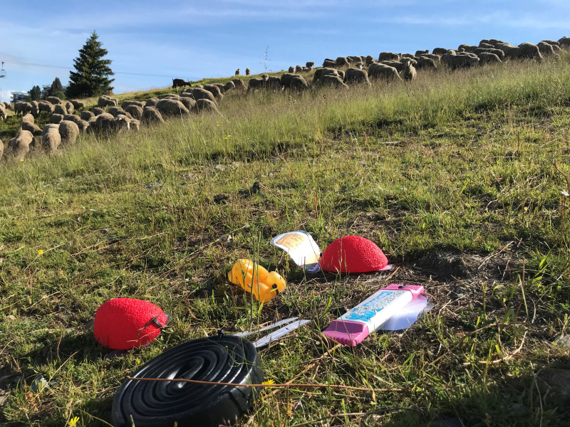 Chasse aux bonbons Haribo Chamrousse