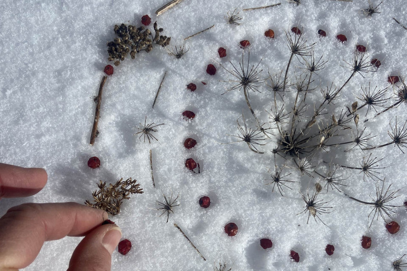 Land art walk 