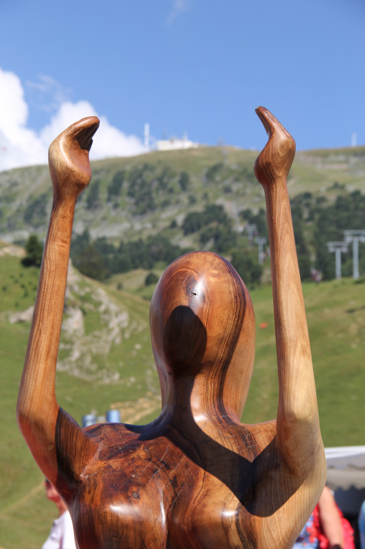 Chamrousse wood day