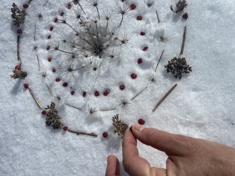Sculpting the Ephemeral - Land Art_Chamrousse