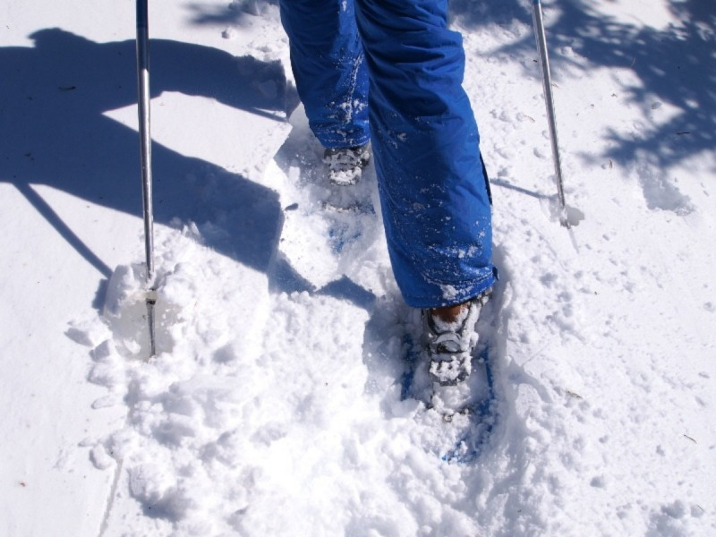 Sortie raquettes Bureau des Guides et Accompagnateurs de Chamrousse