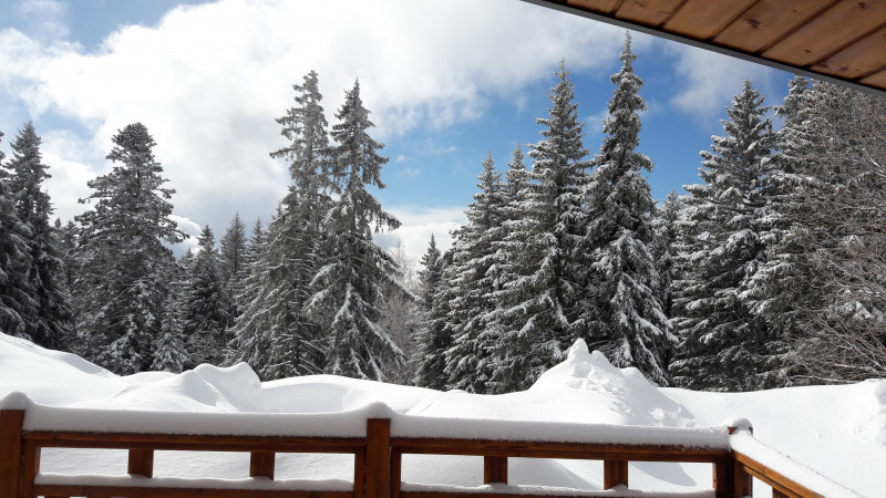 Chamrousse réservation location chalet 3 pièces, 6 personnes 38m² Le Chalet des cimes 10 station ski montagne grenoble isère alpes France