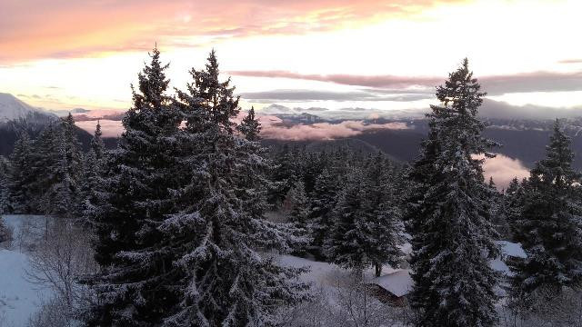 Chamrousse réservation location appartement studio 4 personnes 25m² Les Marmottes 53 station ski montagne grenoble isère alpes France