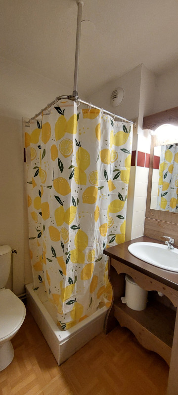 Intérieur salle de bain avec toilette Ecrin des neiges C06 Chamrousse