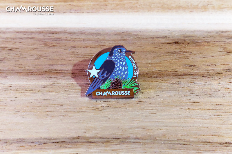 Chamrousse summer silver medal hiking star souvenir shop gift mountain resort grenoble isere french alps france