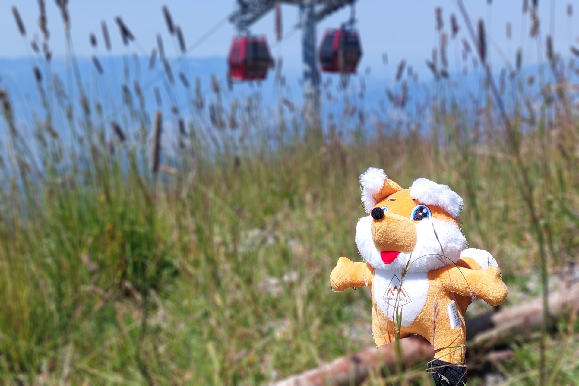 Peluche, Téo le renardeau, mascotte station Chamrousse - 24,90€ - Chamrousse